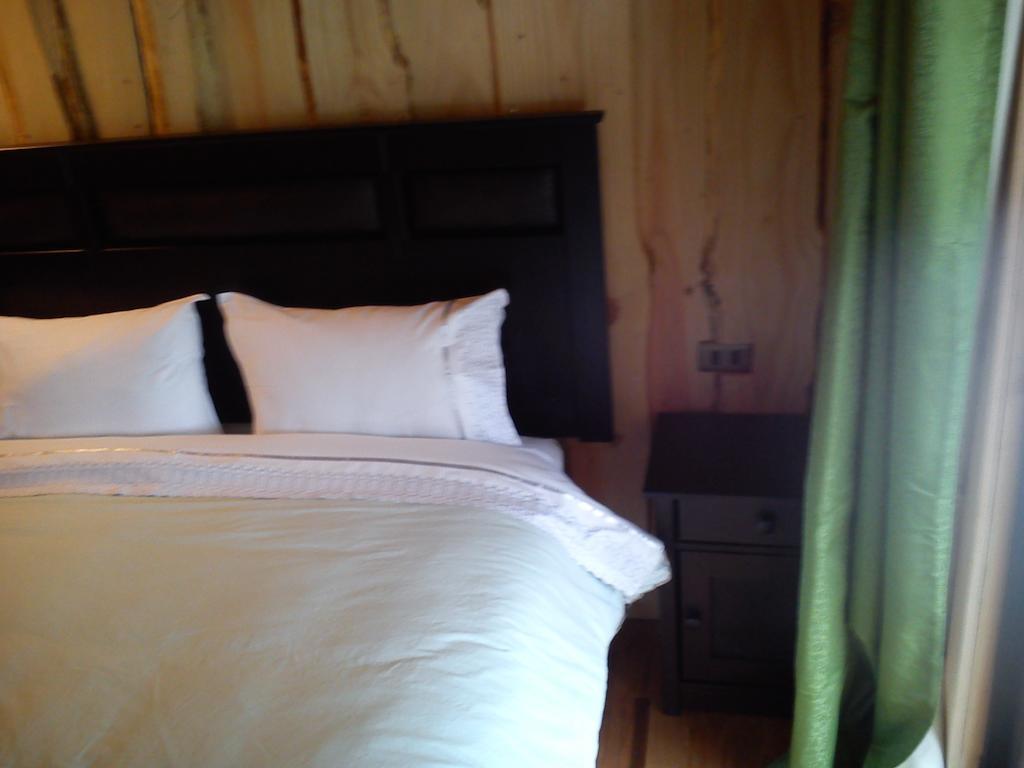 Hostal Los Alamos Neltume Room photo